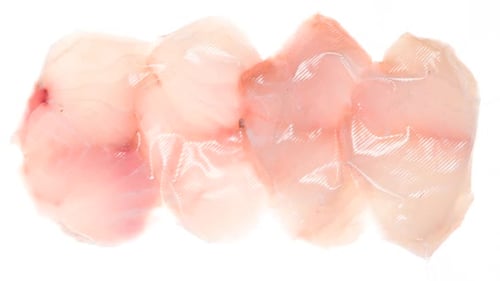 Fischfilet verpacken und einfrieren