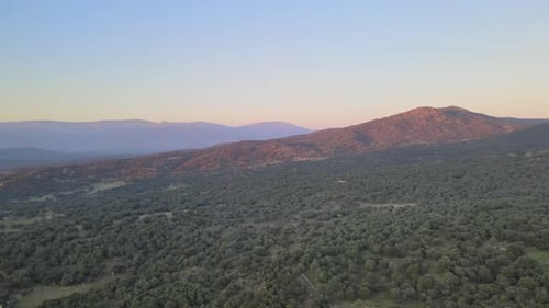 drone flight at sunset in the golden hour over a forest viewing a hill with a background of mountain
