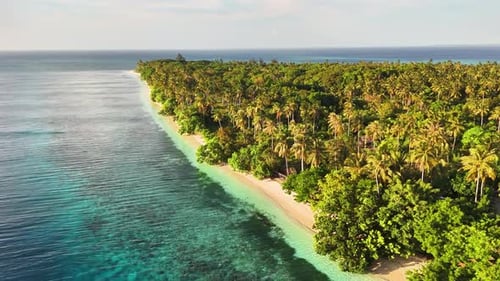 Breathtaking Aerial View of Lush Tropical Island