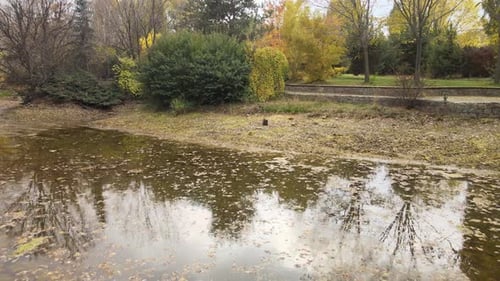 autumn lake reflection