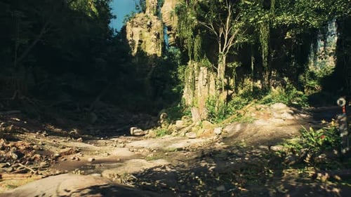 Scenic Dirt Road Surrounded By Trees and Rocks Mountain Path