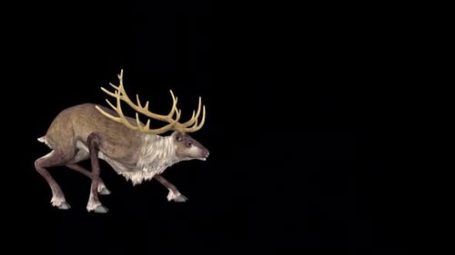 Reindeer Attack Idle 2