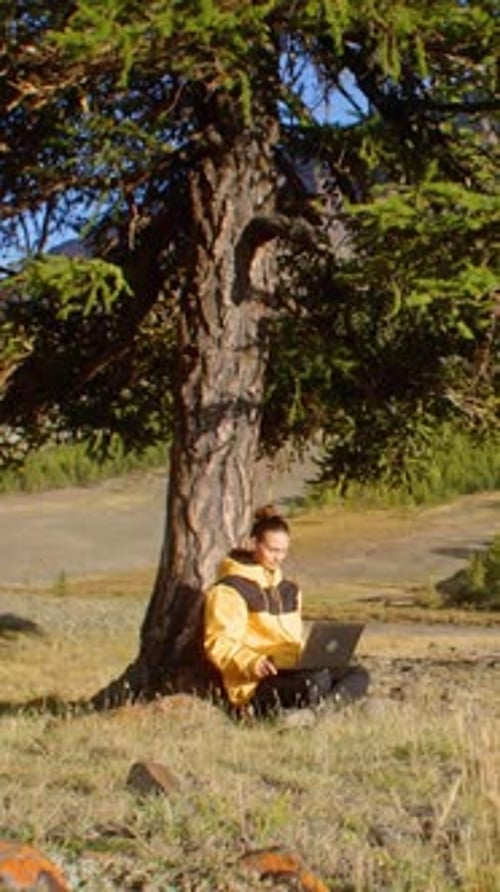 Enjoy Remote Work in Nature Using a Laptop While Surrounded By a Stunning Mountain View