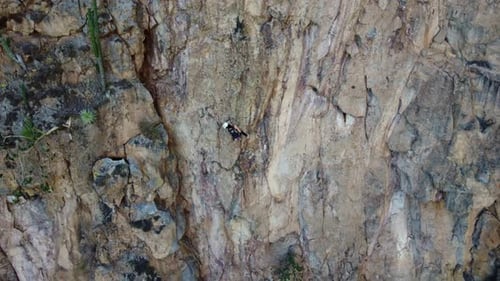 Climber Ascends Steep Rock Face, Aerial View