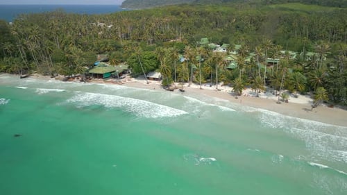 Aerial of Beautiful Tropical Beach with Coconut Palm Trees and Turquoise Sea