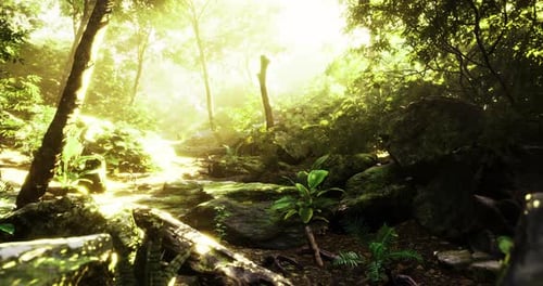 Sunlight Filtering Through Lush Trees in a Vibrant Forest Ecosystem