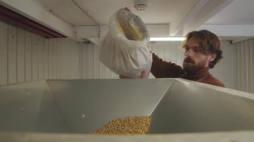 Empregado masculino despejando cevada no tanque da cervejaria