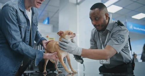 Airport Terminal TSA Officer Inspecting Dog with Metal Detector