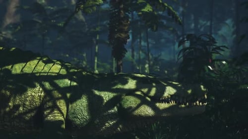 Grand crocodile reposant à l'ombre dans un environnement de jungle dense