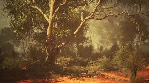 Serene Australian Outback Landscape at Dawn with Lush Vegetation and Mist