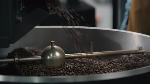 Coffee Beans Being Poured Into Roasting Machine