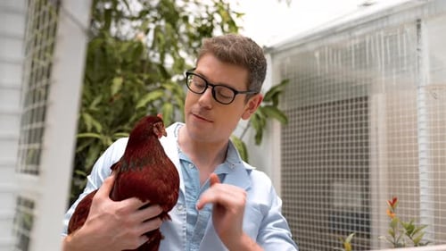 Person Cradles Chicken in Outdoor Coop