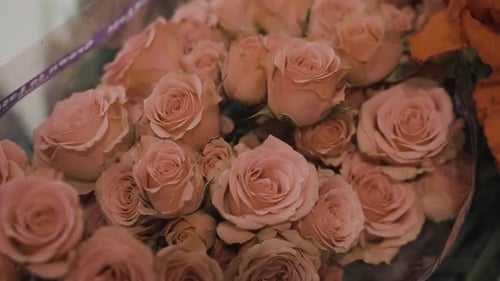 Pink Mini Roses and Elegant Red Carnations being processed.