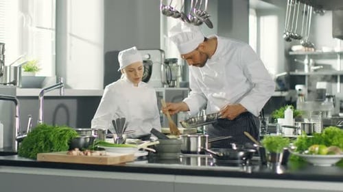 Famous Chef and His Female Apprentice Prepare Special Dish in a Modern Restaurant's Kitchen.