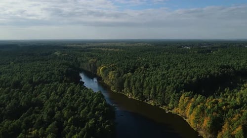 Beautiful drone panoramic view of green forest and river