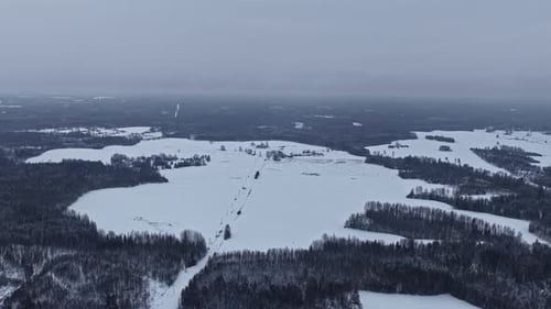Aerial View of Snowy Fields and Forest Under Overcast Winter Sky