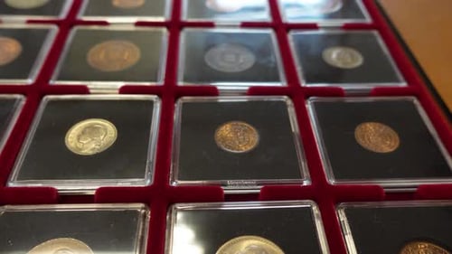 Coin Collector. Collection of Certified Coins