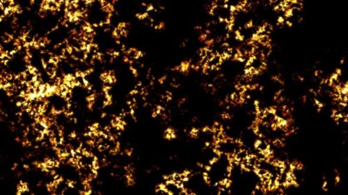 Abstract Fractal Wavey Background