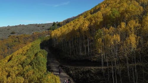 Un gran paisaje de bosque y montaña lleno de álamos