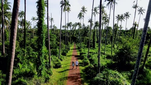 Men and Women Walking at a Road Between Palm Trees at the Island of Koh Mak Thailand