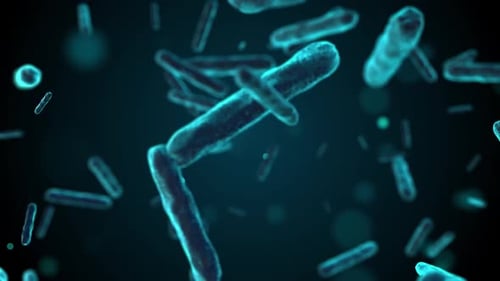 Animated Microscopic Bacteria Cells Floating Medical Science Loop