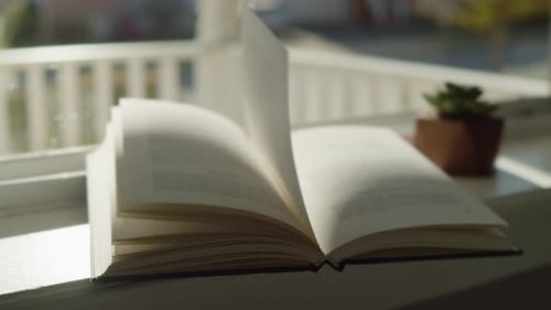 Book Pages Turning on Sunny Windowsill with Plant