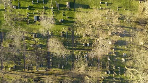 Langsamer Luftflug über den großen Friedhof. Ansicht von oben nach unten