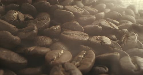 Roasted Coffee Beans Macro Shot