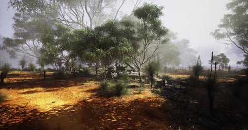 Vibrant Australian Outback Landscape with Lush Vegetation and Warm Earth Tones