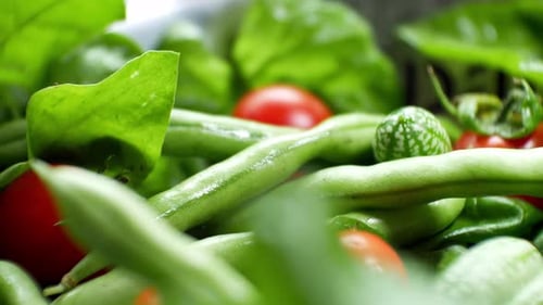 Shallow focus healthy fresh green spinach leaf cucamelon cherry tomato salad bowl closeup