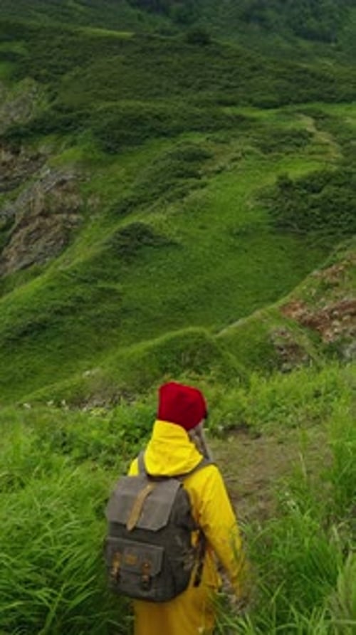 Exploring the Lush Green Landscape A Hiker in Yellow Rain Gear Embarks on an Adventure Through