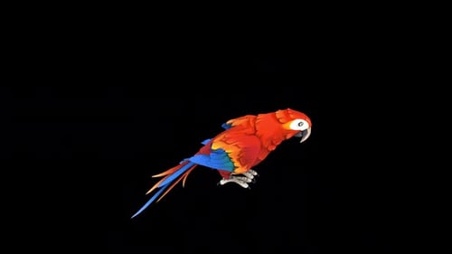 Toon Parrot Dance 2