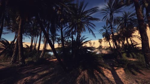 Night Falls on Tranquil Oasis with Silhouetted Trees and Reflective Water