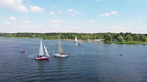 Aerial View of Several Sailboats Moving Across a Calm Lake Under Clear Blue Sky Yachts Floating