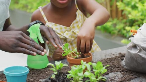 Child and Man Gardening with Plants at Home
