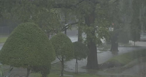 Pouring rain starts to flood.