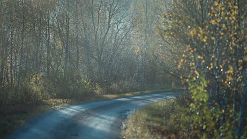 A narrow country road winds through the autumn forest lines with the threes adorned with bright colo