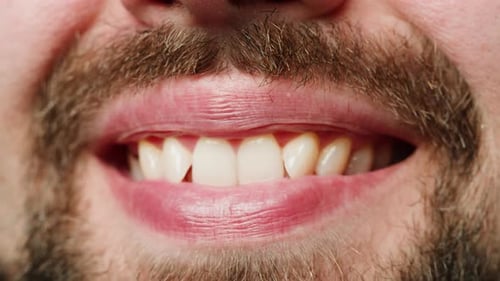 Smiling Man Portrait Close Up Head Shot Portrait of Middle Aged Bearded Male with Healthy White