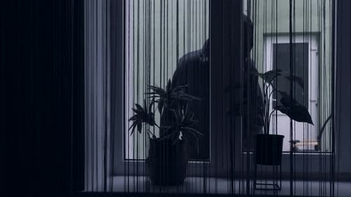 Hooded Intruder Breaks Into House at Night