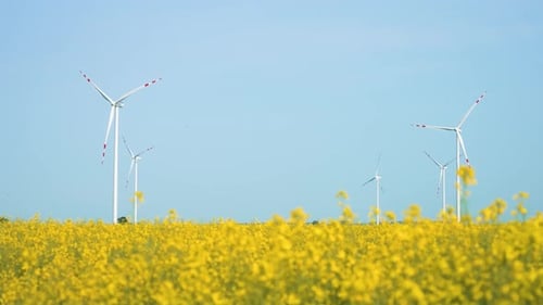 Alternative Industry Renewable Energy By Windmills Generators with Rotating Blades in Blooming