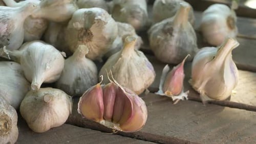 Pile of Garlic Bulbs on a Rustic Surface