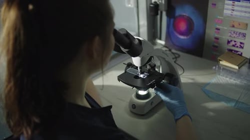 A Caucasian Woman Works Under a Microscope in a Laboratory