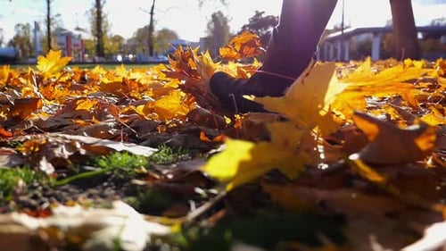 Legs of Young Woman Stepping on Yellow Foliage at Park Female Feet in Boots Going on Fallen Maple