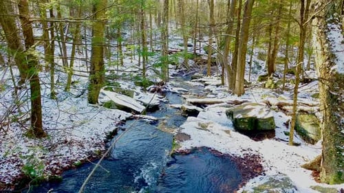 Gentle stream running through a green forest just after an early springtime snowfall.