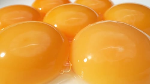 Close Up of Seven Shiny, Bright Egg Yolks