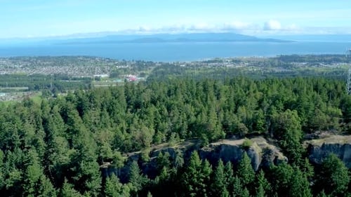 Vancouver island forest beauty by aerial drone on the pacific coast of Canada