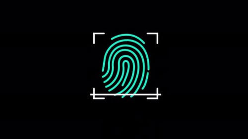 Digital Fingerprint Scan Verification Animation
