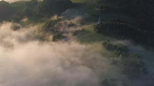 Misty Forest Nature Aerial