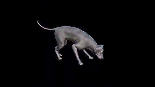 Realistic 3D Animated Dog Sniffing on Alpha Channel