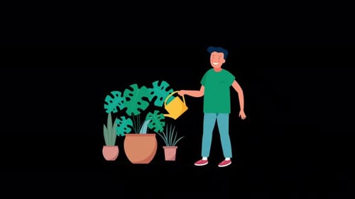 2D Young Man Gardening At Home Alpha Channel 4K